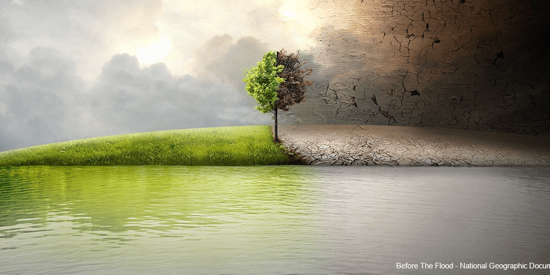Conférence : Nos forêts sous la pression des changements climatiques