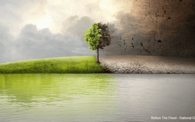 Conférence : Nos forêts sous la pression des changements climatiques